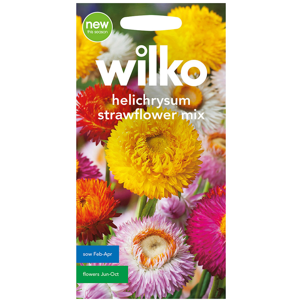 Wilko Helichrysum Strawflower Mix Seeds Image 2