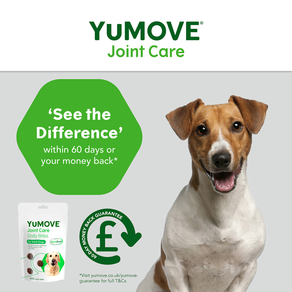 YuMOVE Joint Daily Bite Adult Dogs 60 pack Image 2