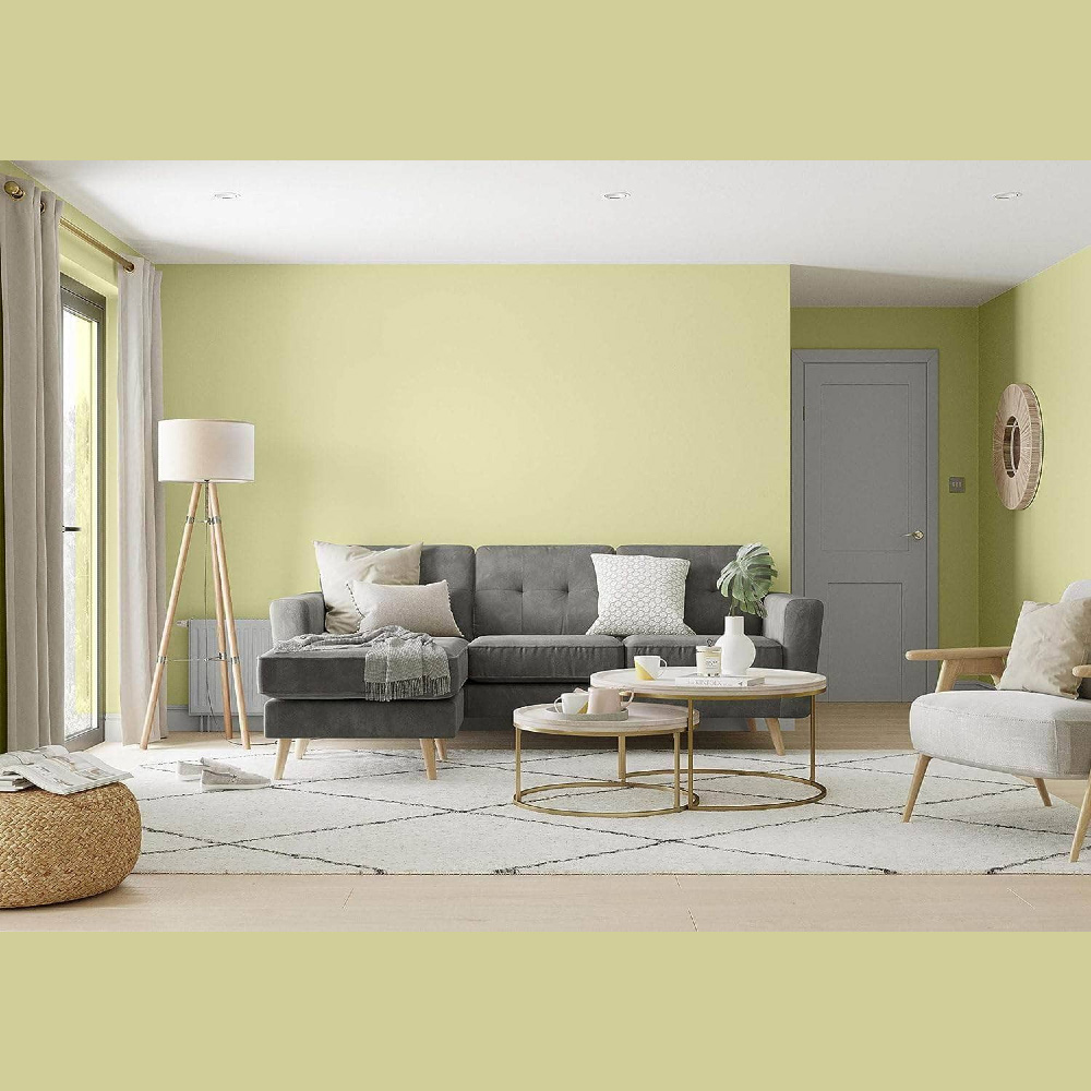 Dulux Trade Melon Sorbet Walls and Ceilings Vinyl Matt Paint 2.5L Image 4