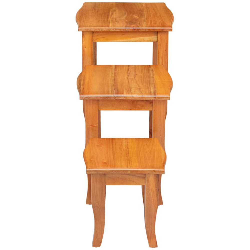 vidaXL Natural Solid Mahogany Wood Nest of Tables Set of 3 Image 5