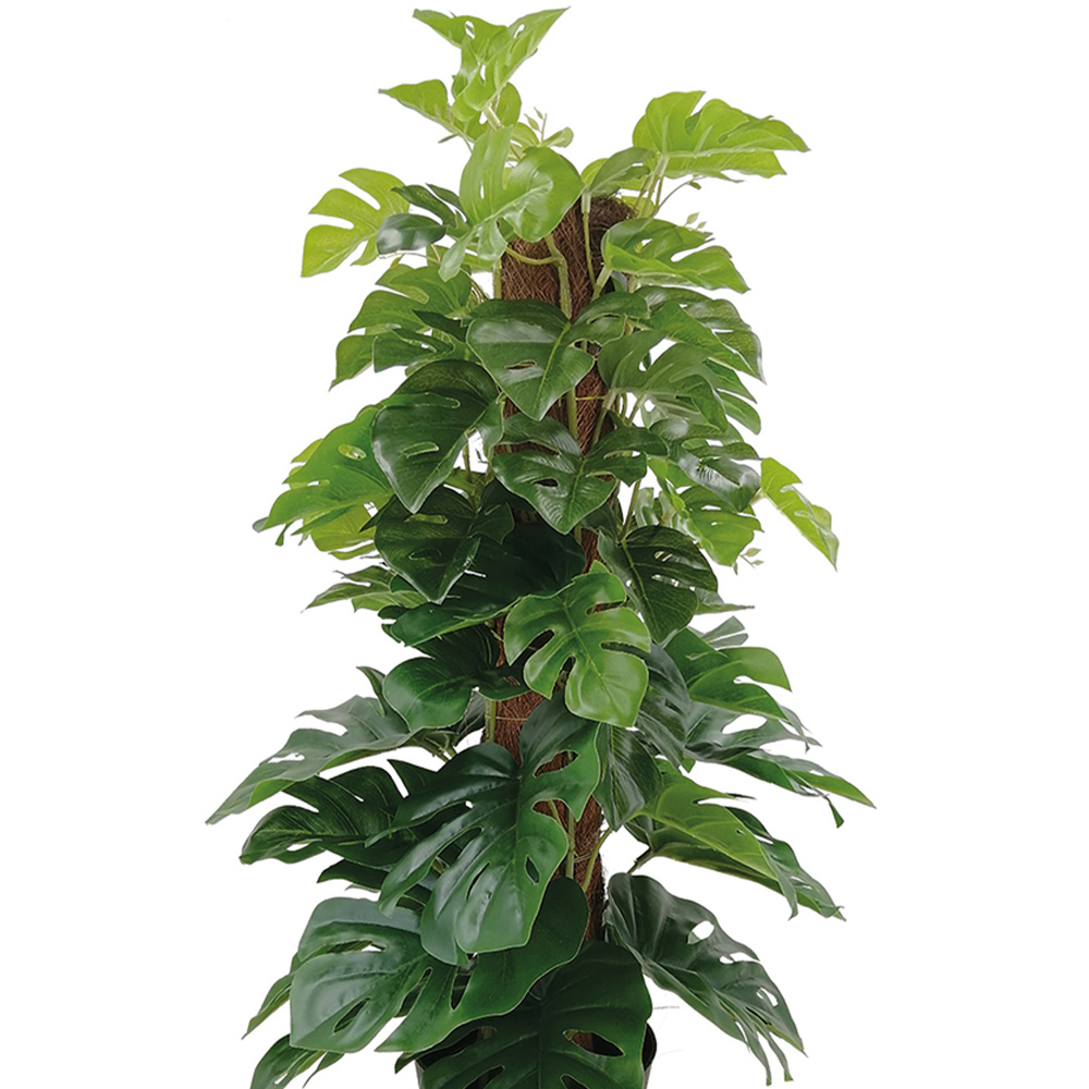 Premier Artificial Cheese Plant in Pot 60cm Wilko