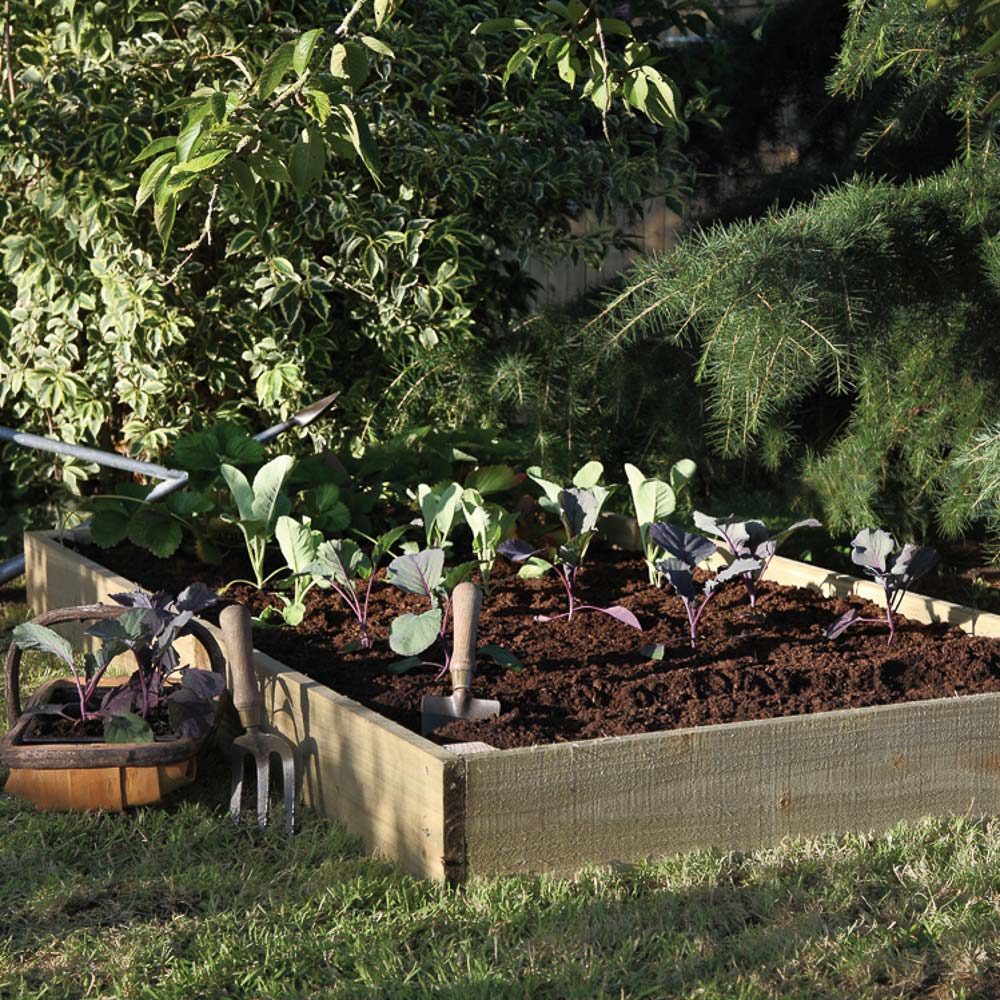 Forest Garden Timber Standard Raised Bed Image 2