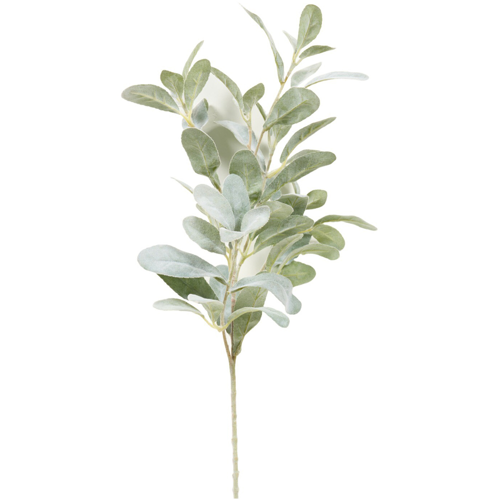 Frosted Lambs Ear Foliage Spray Green Image 3