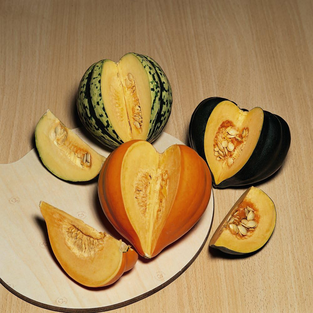 Thompson and Morgan Squash Winter Celebration Mixed F1 Hybrid Seeds Image 2