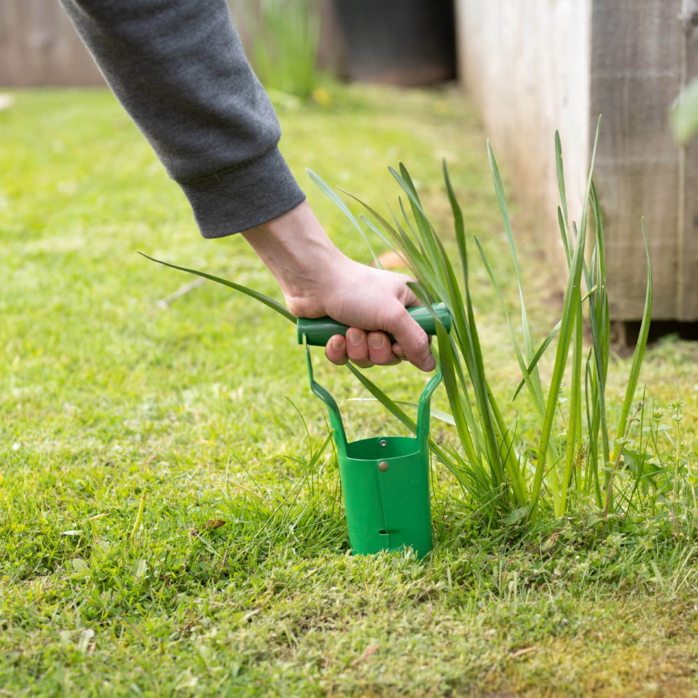 Hardys Stainless Steel Green Bulb Planter Image 2