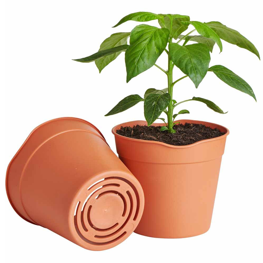 Clever Pots Large Easy Release Propagation Pots 15 x 13cm 5 Pack Image 4