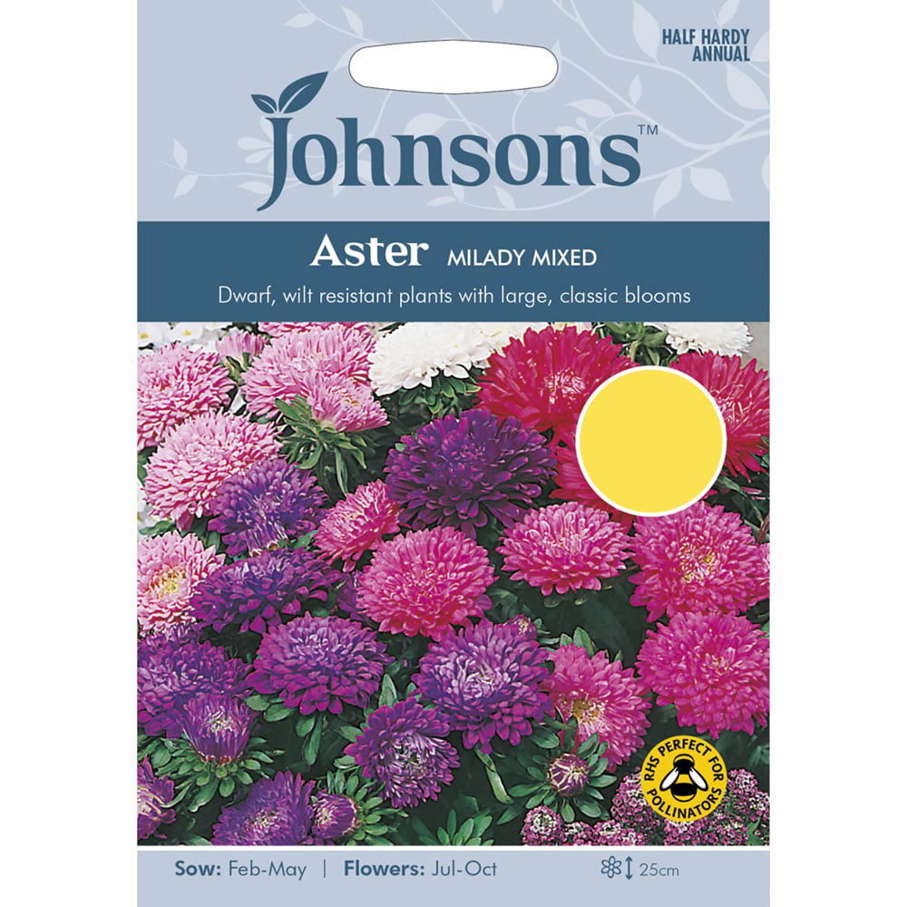 Johnsons Aster Milady Mix Seeds Image 2