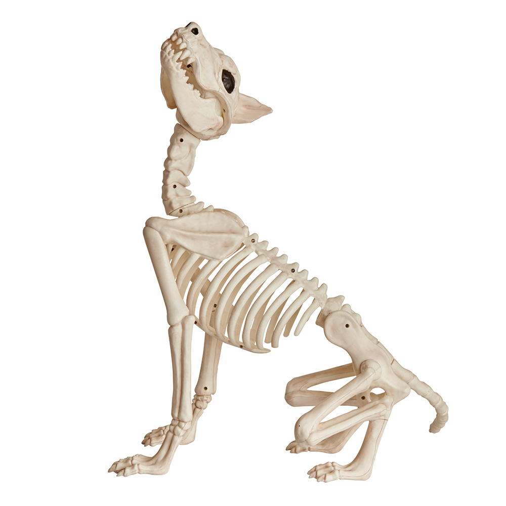Wilko Animated Skeleton Wolf Decoration Image 2