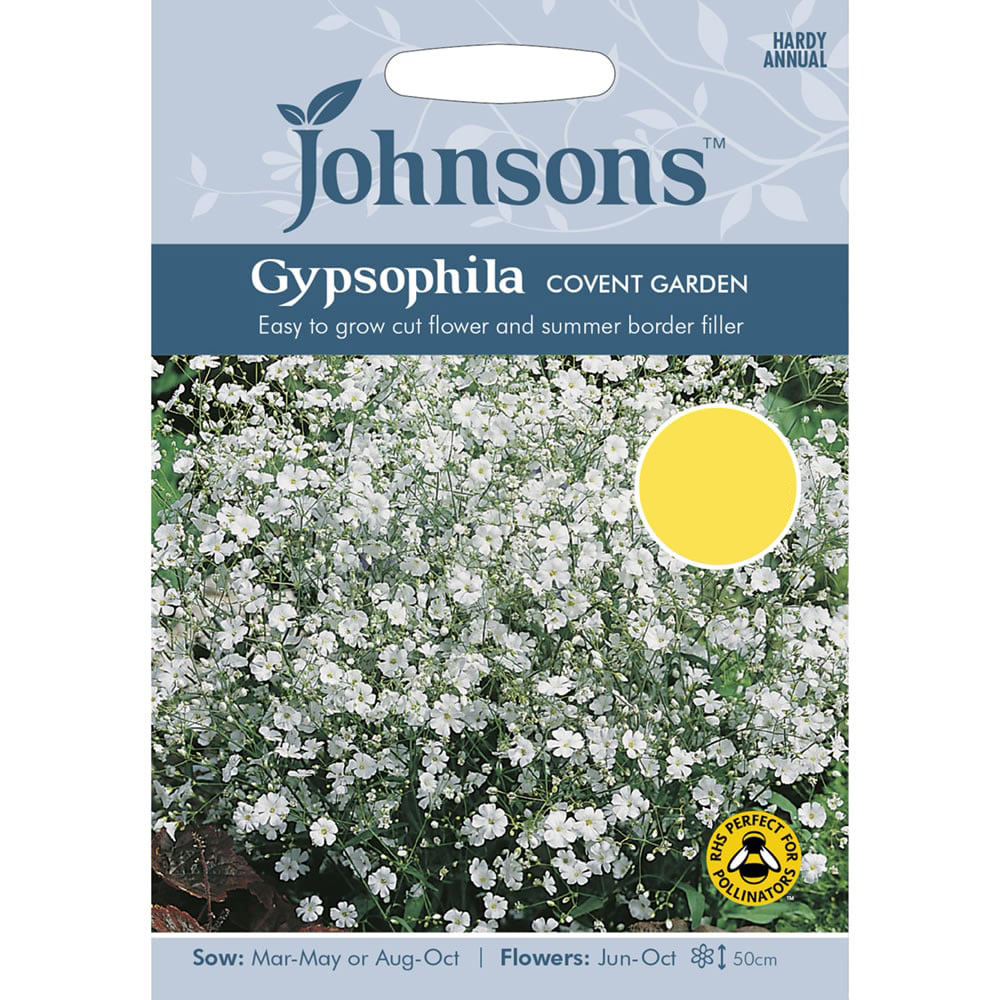 Johnsons Gypsophila Covent Garden Seeds Image 2