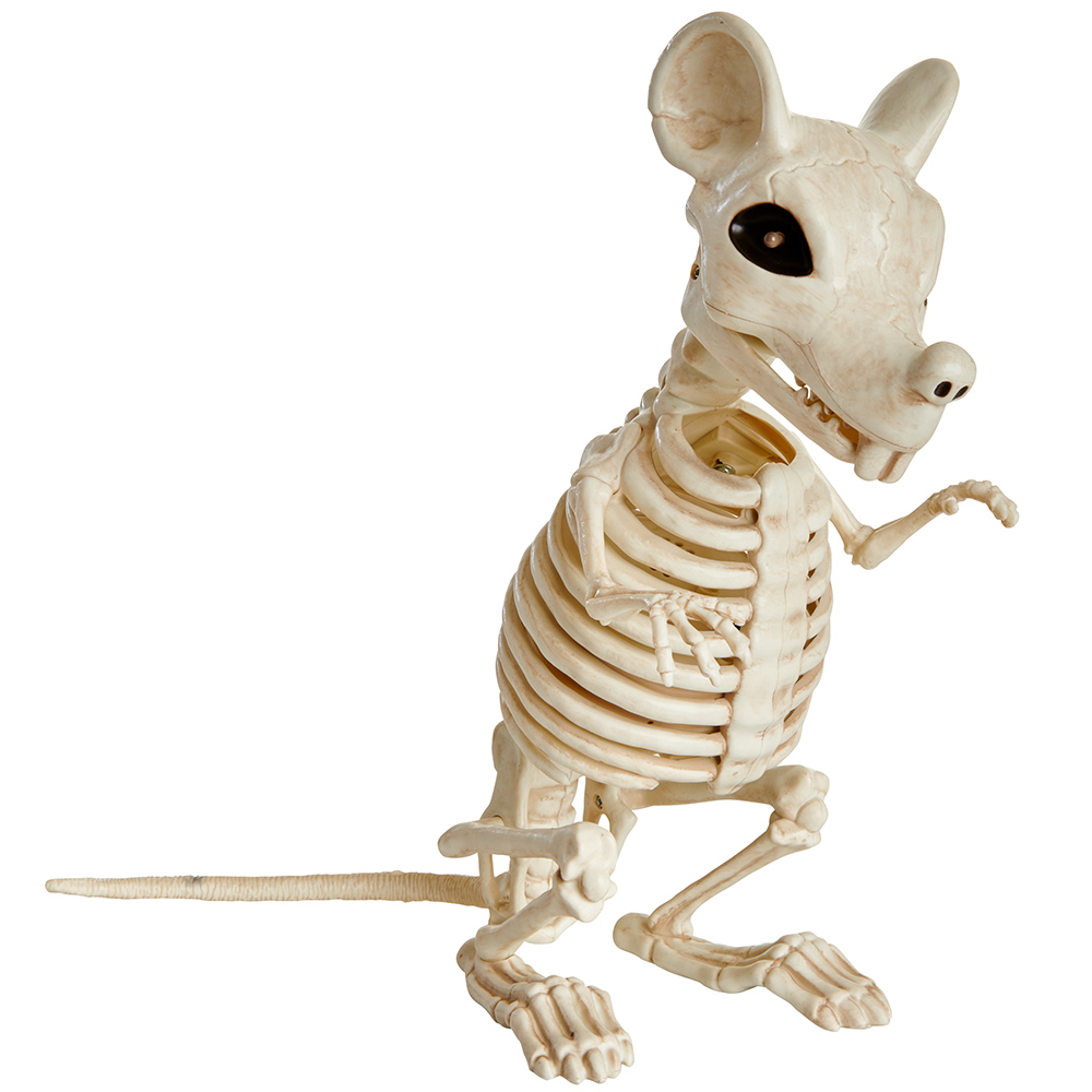 Wilko Animated Sitting Rat Skeleton Decoration Image 1