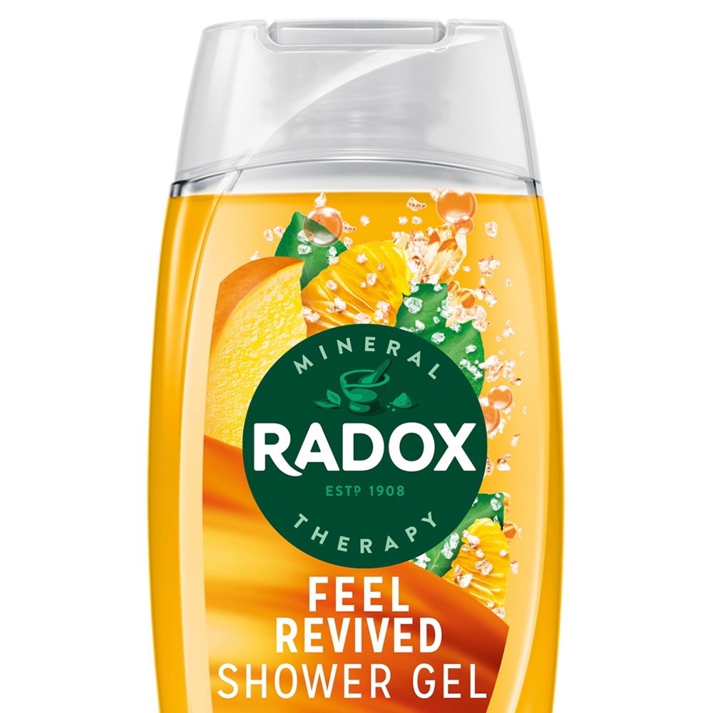 Radox Feel Revived Mineral Therapy Shower Gel 225ml Image 2