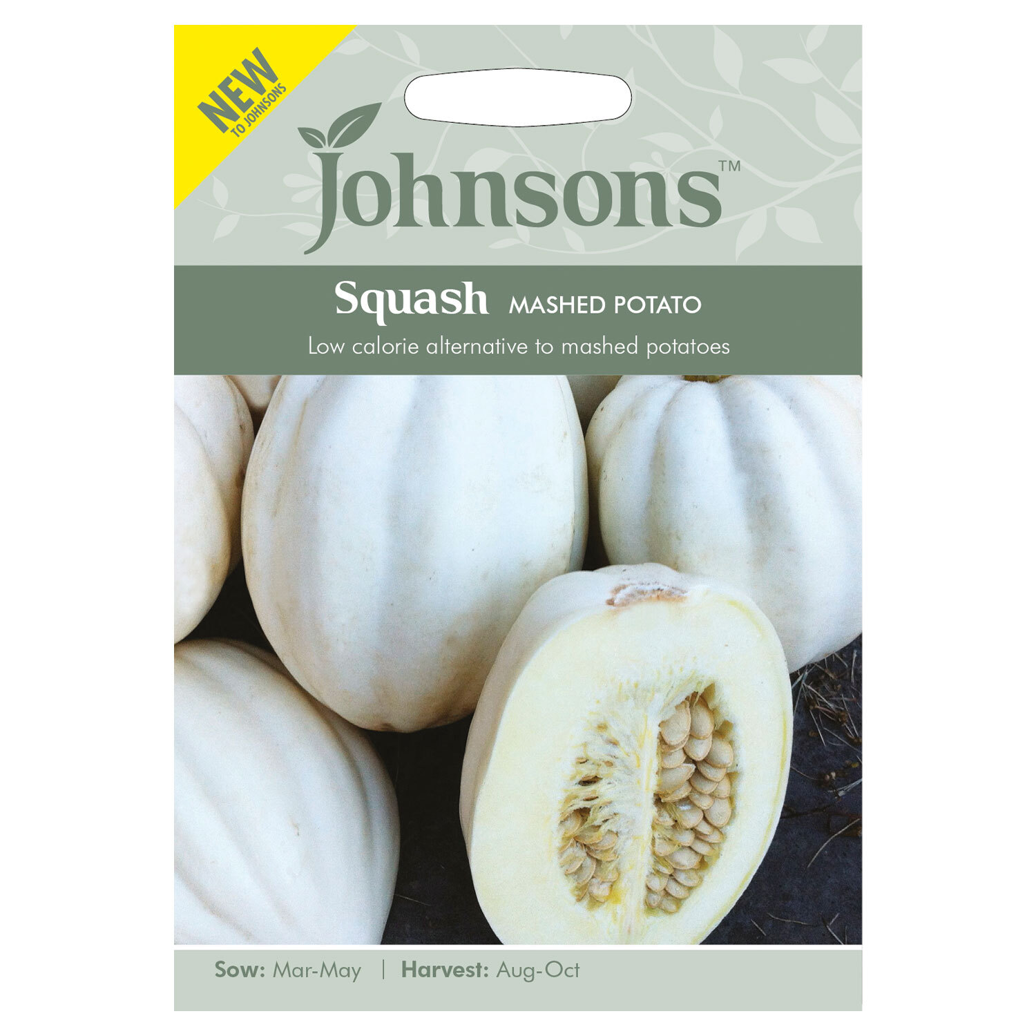 Johnsons Squash Seeds Image 2
