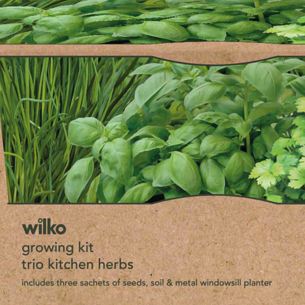 Wilko Trio Kitchen Herbs Growing Kit Image 3