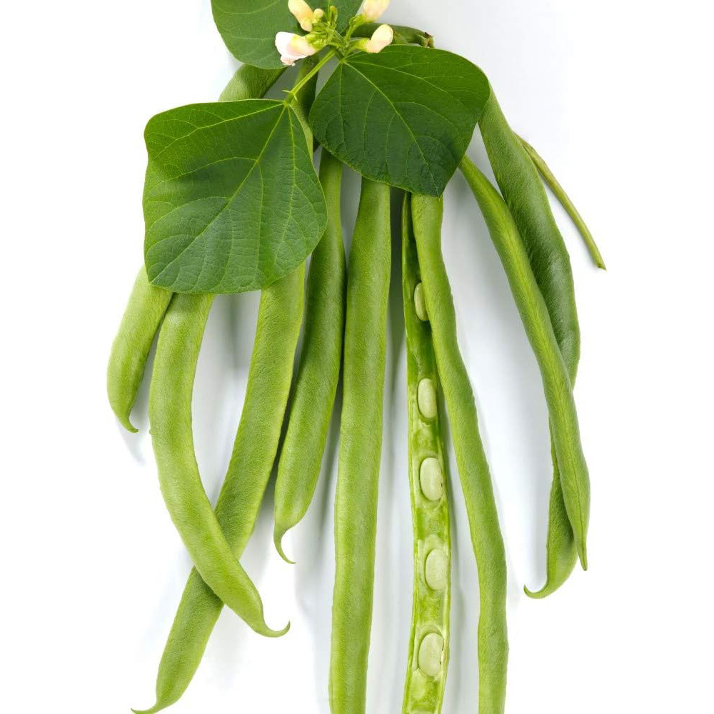 Thompson & Morgan Runner Bean White Lady Seeds Image 2