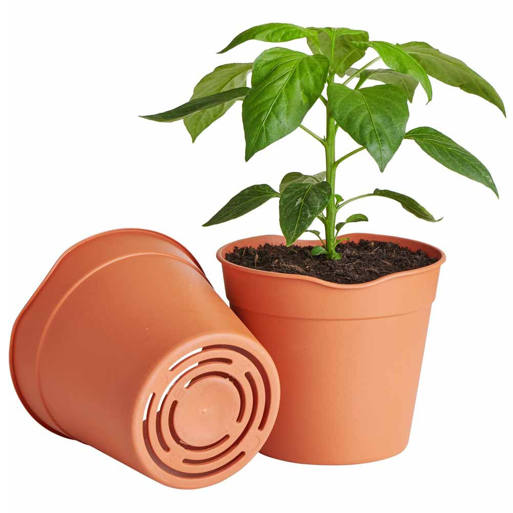 Clever Pots Mini Easy Release Propagation Pots 8 x 7cm 5 Pack Image 4