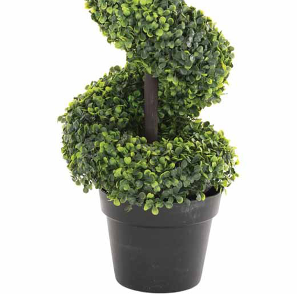 Boxwood Topiary Spiral Tree Image 2