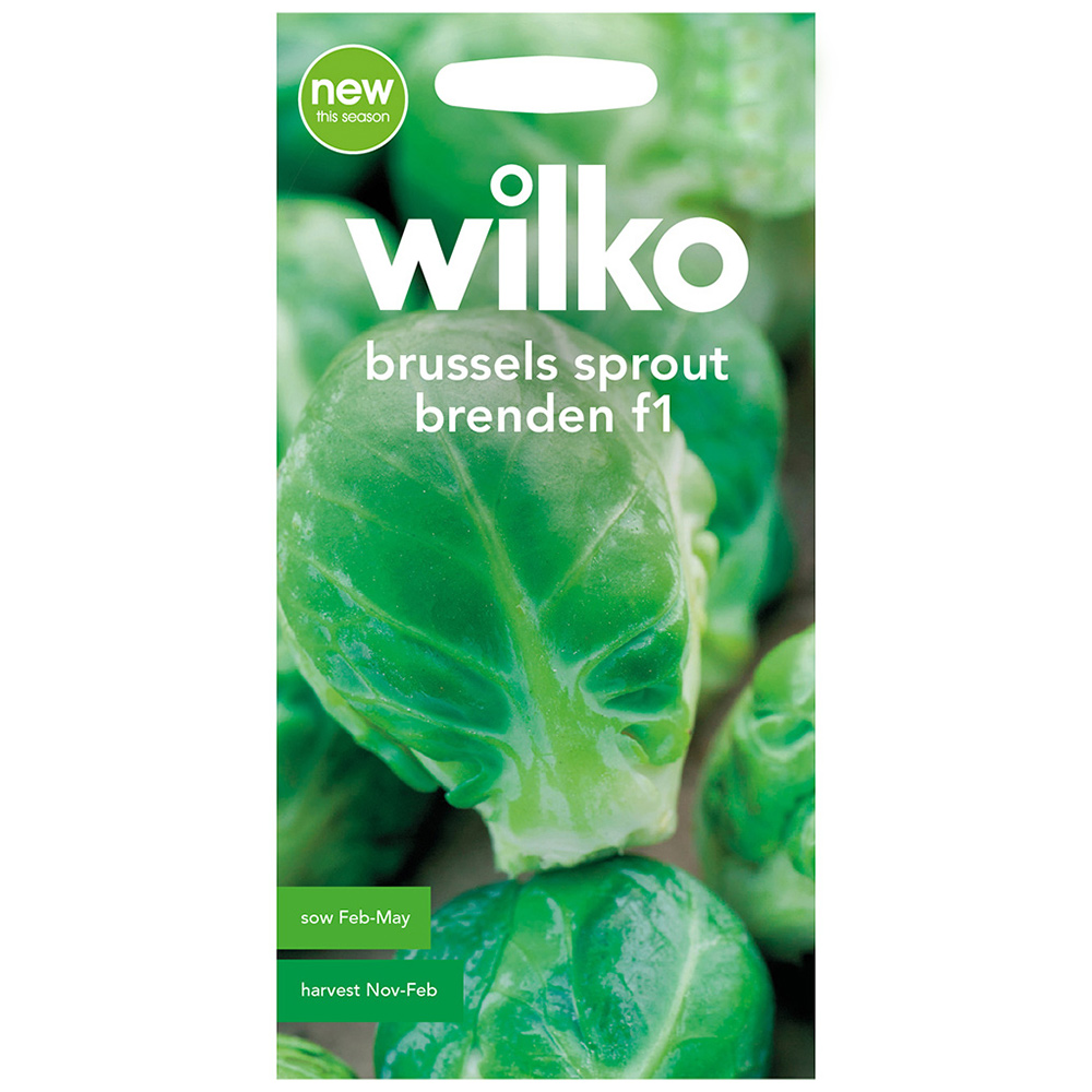 Wilko Brussels Sprout Brender F1 Seeds Image 2