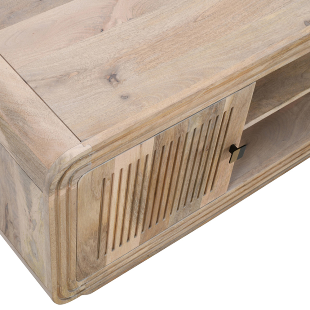 Brooklyn Hudson 2 Door 2 Shelf Carved Mango Wood TV Unit Image 5