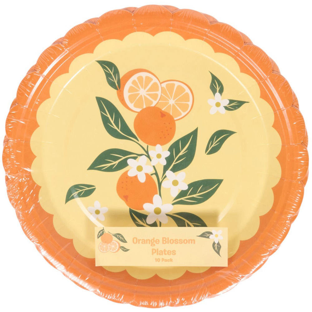 Pack of 10 Orange Blossom Paper Plates Image 2