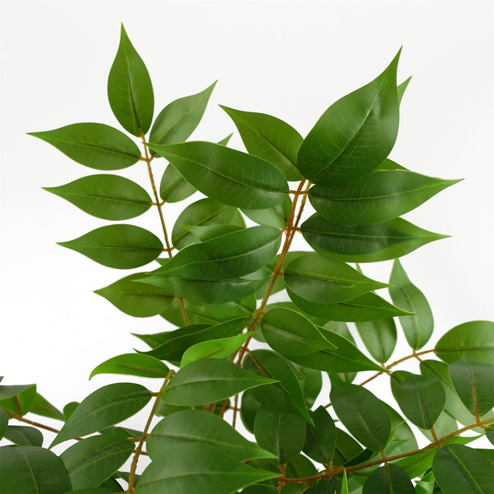 Leaf Evergreen Toona Sinensis Artificial Plant 3.6ft Image 3