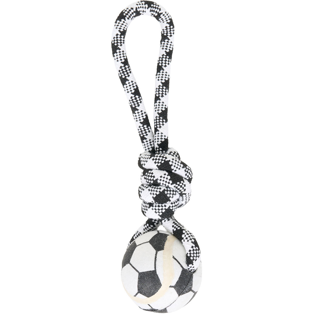 Plush Ball on a Rope Dog Toy Image 1