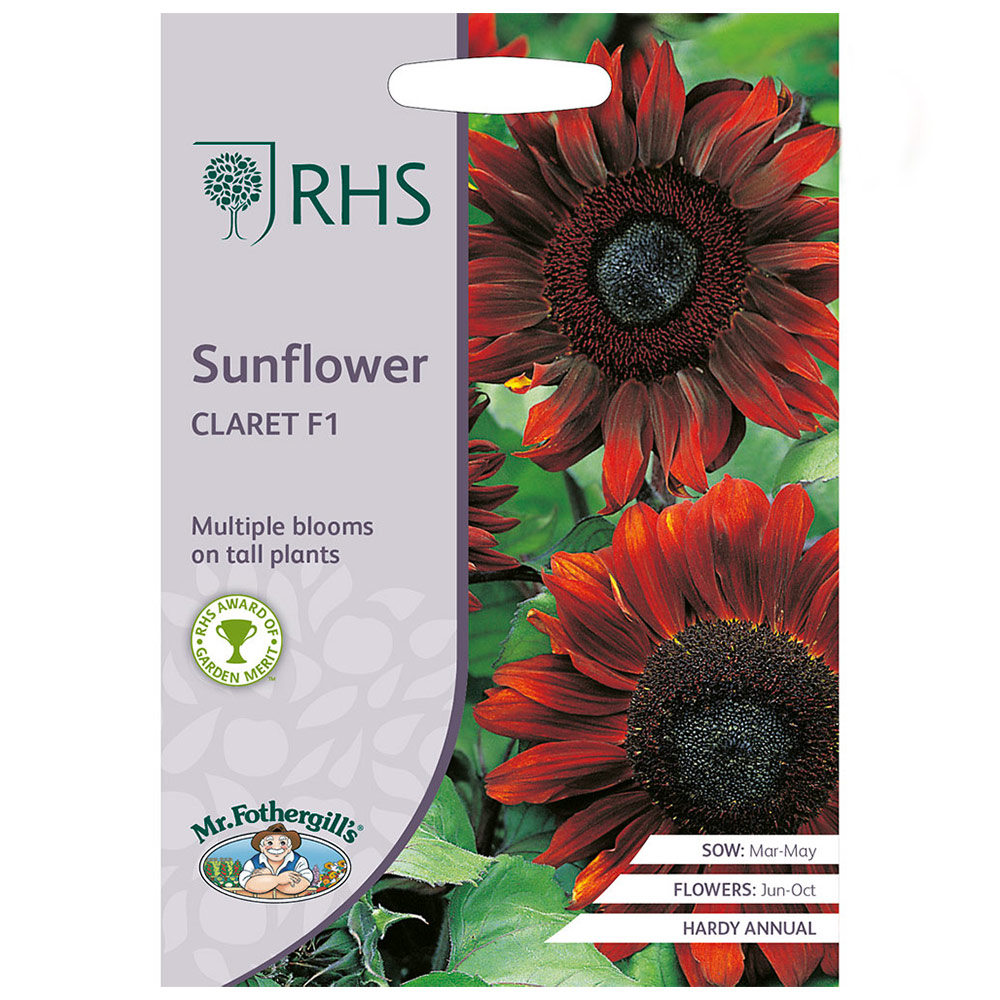 Mr Fothergills RHS Sunflower Claret F1 Seeds Image 2