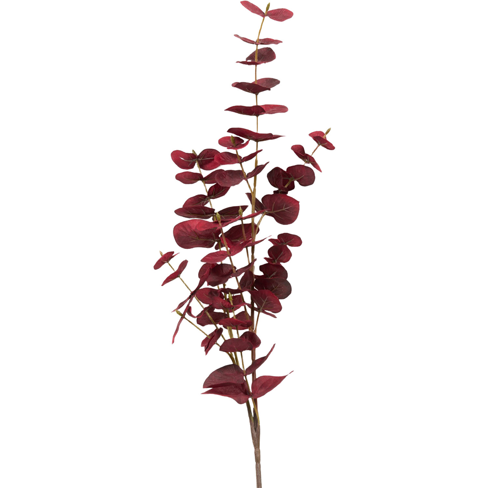 Eucalyptus Spray Deep Red Image 4