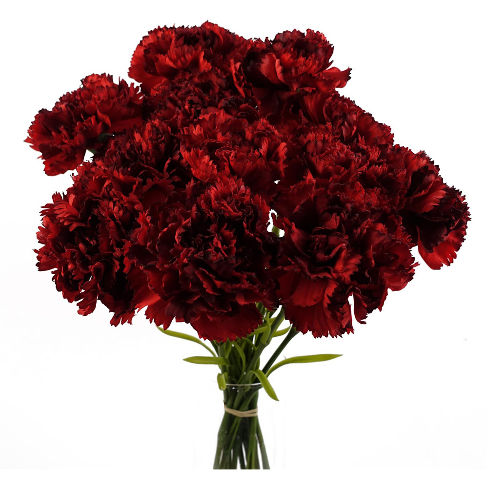 Leaf Red Carnation Single Stem Artificial Flower 50cm 12 Pack Image 4