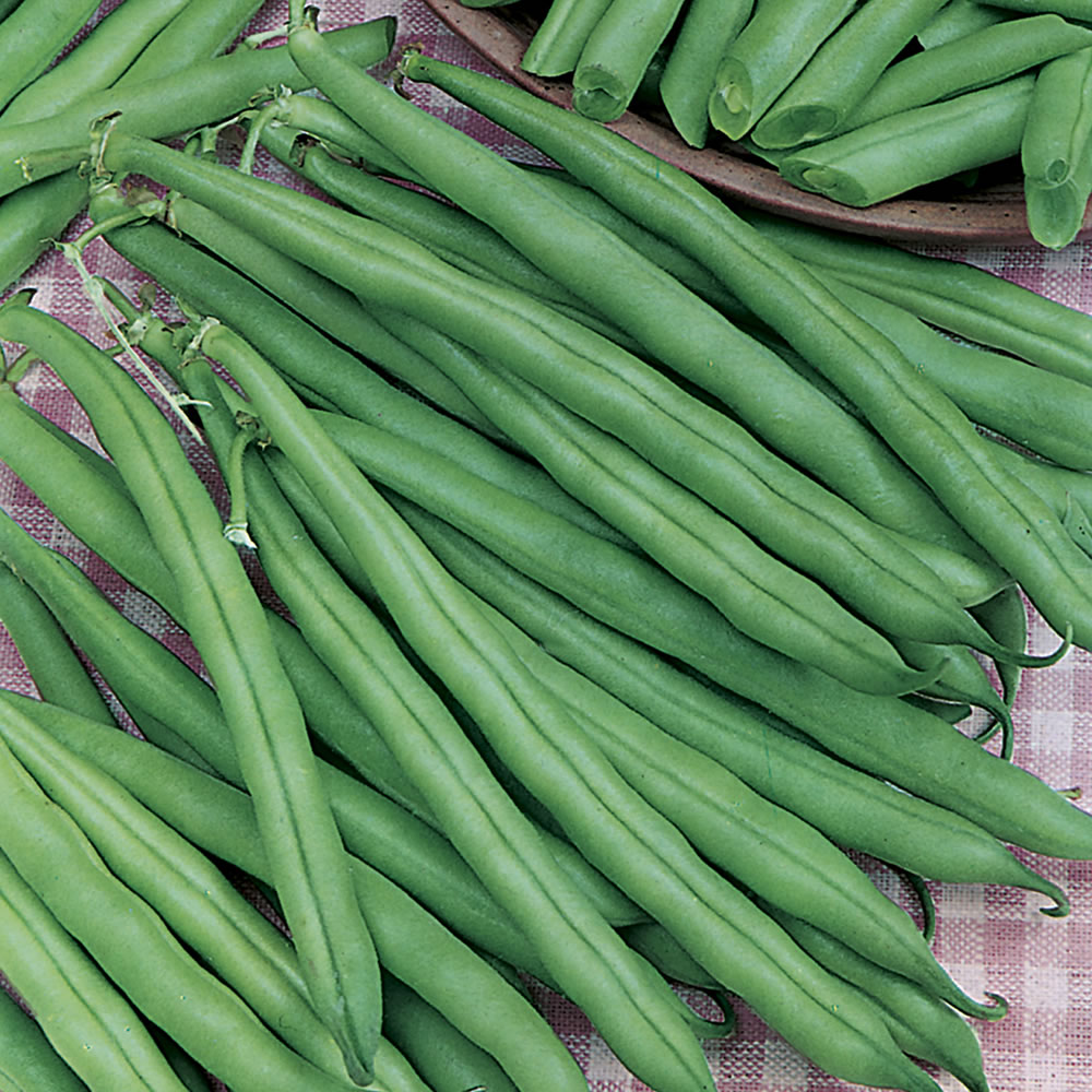 Wilko Dwarf French Bean Tendercrop Seeds Image 1