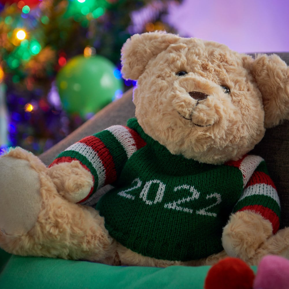Wilko 2022 Christmas Bear Wilko