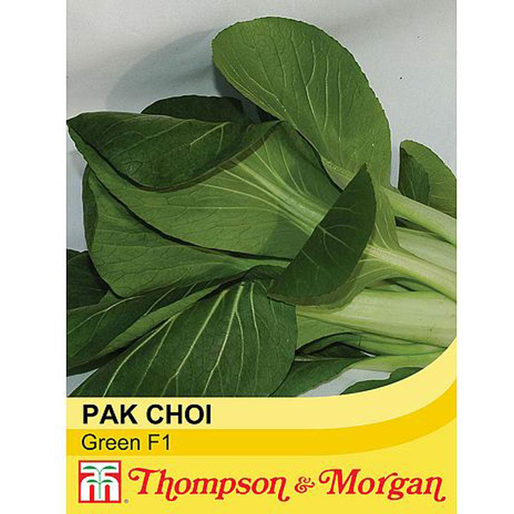 Thompson & Morgan Pak Choi Green F1 Hybrid Seeds Image 2