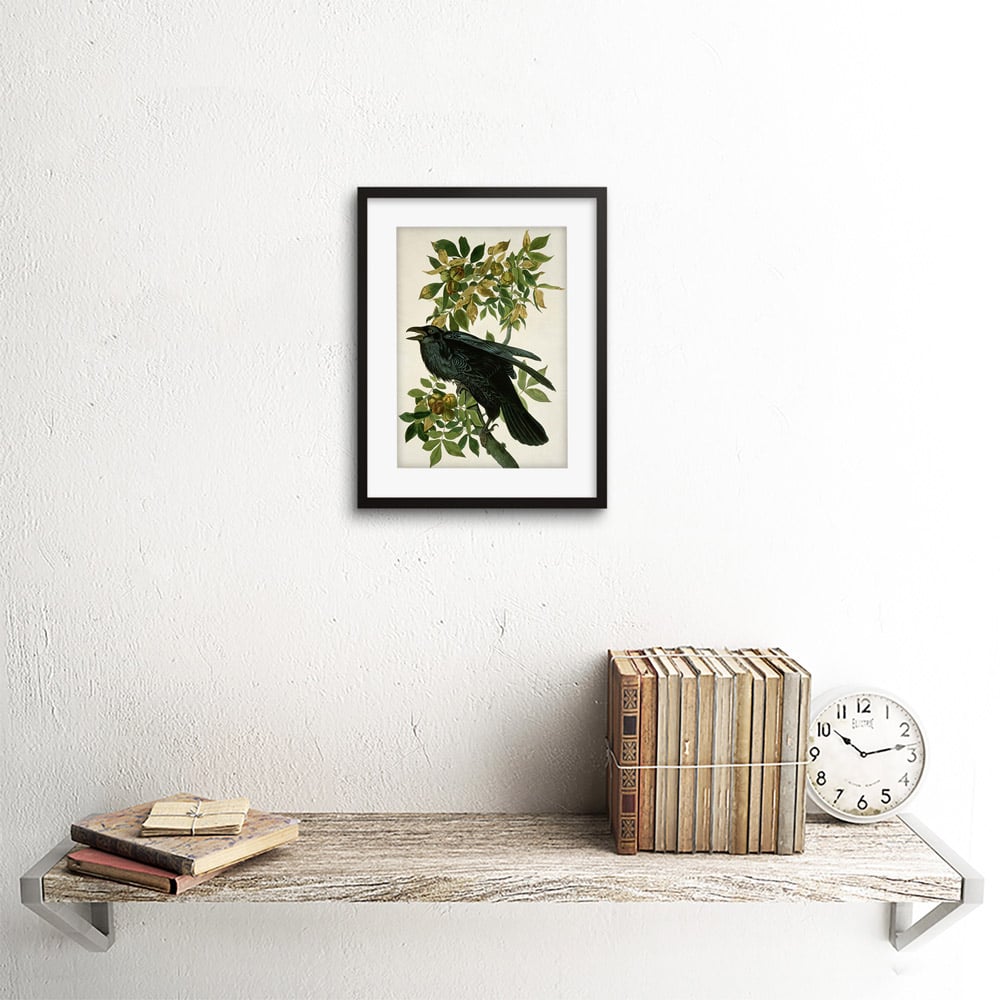Wee Blue Coo Audubon Raven Painting Framed Wall Art Print 23 x 18cm Image 2