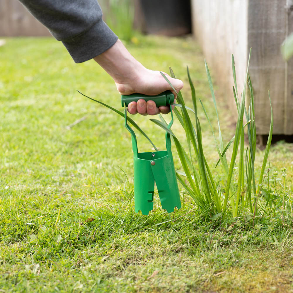 Hardys Stainless Steel Green Bulb Planter Image 9