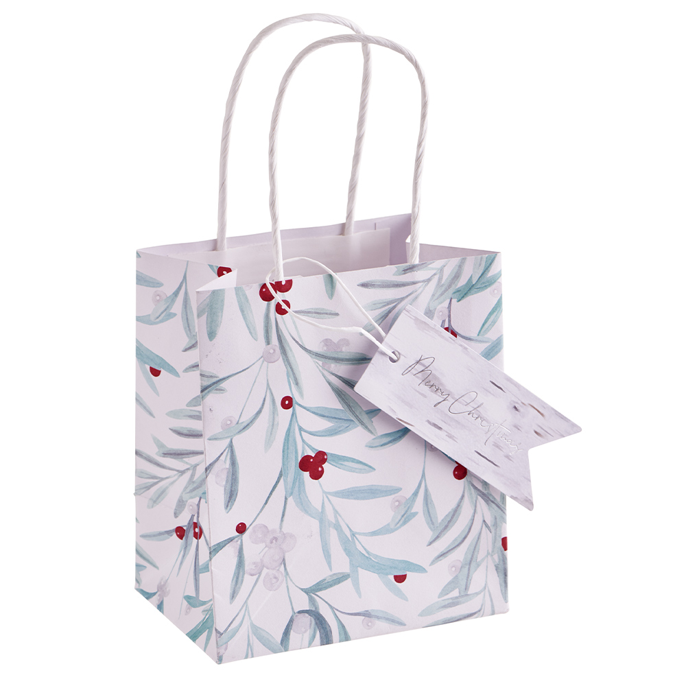 Wilko First Frost Small Gift Bag Image 1