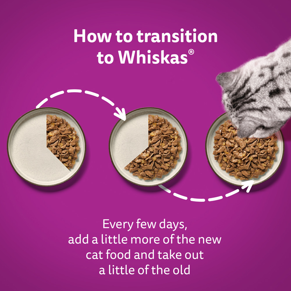 Whiskas Adult Wet Cat Food Pouches Poultry Selection in Jelly 80 x 85g Image 6