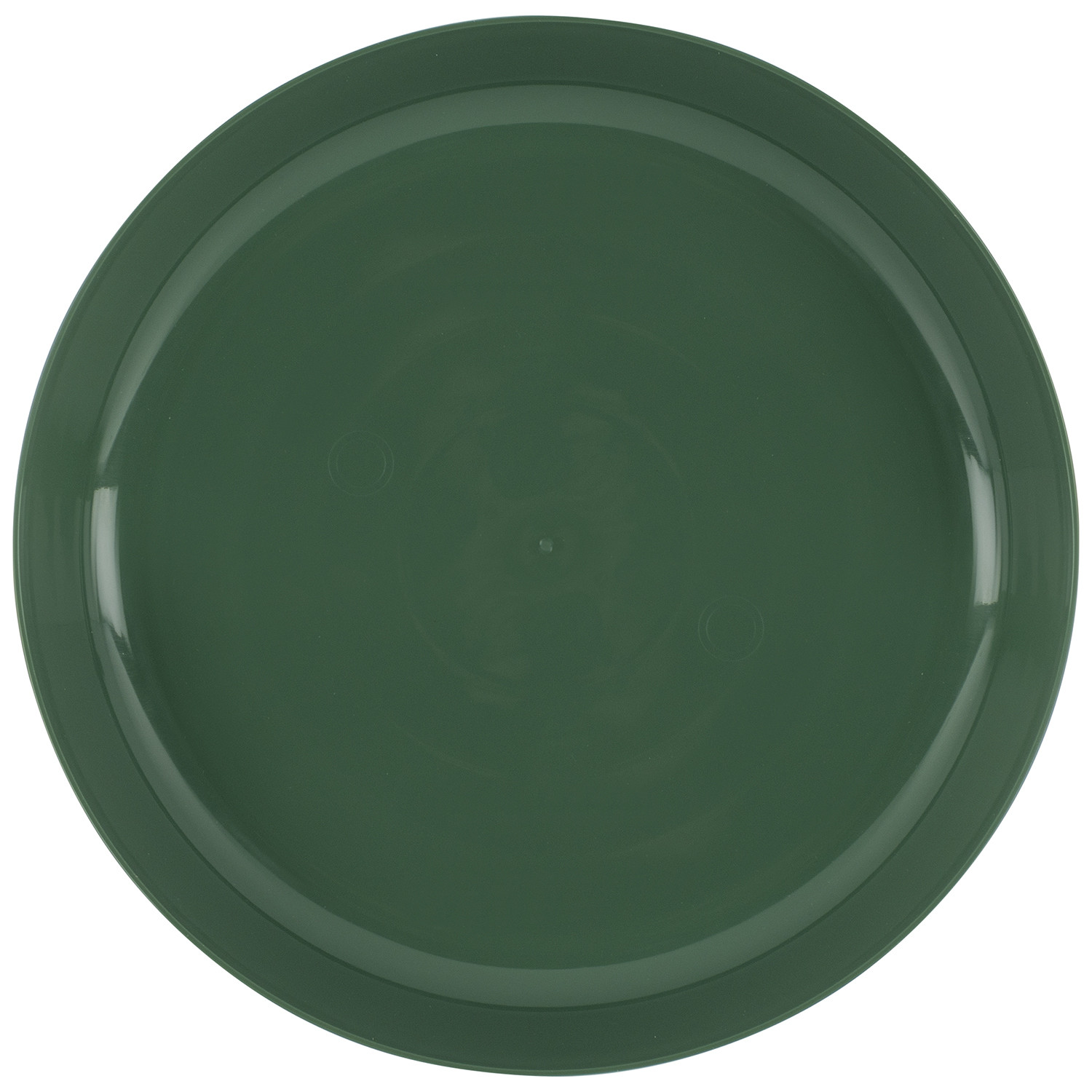 Plastic Plate Image 1