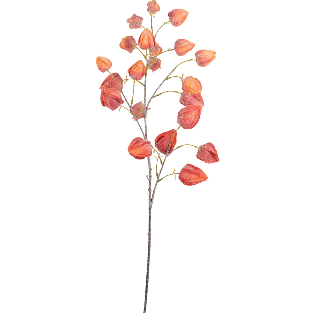 Autumn Physalis Faux Stem Image 2