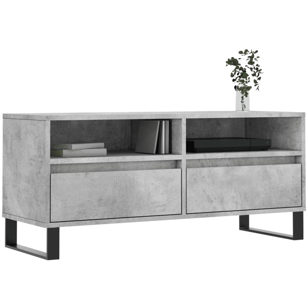vidaXL 2 Drawer 2 Shelf Concrete Grey TV Cabinet Image 3