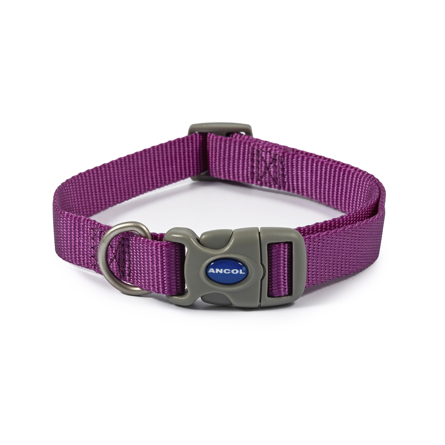 Purple Nylon Collar - Medium Image