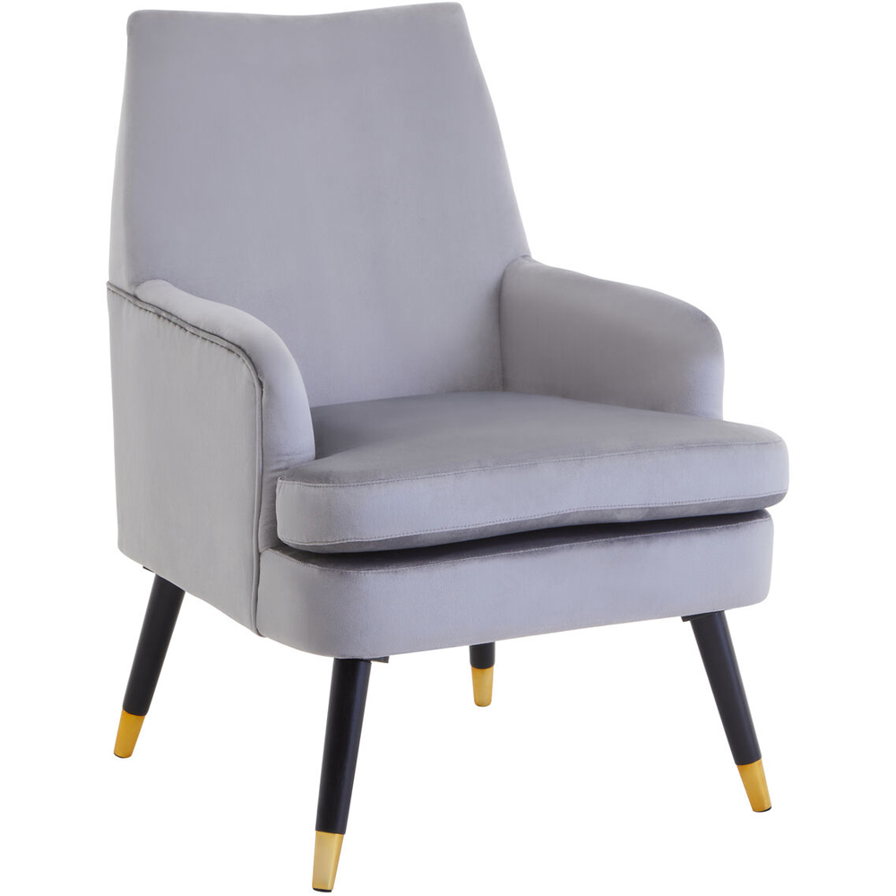 Premier Housewares Loretta Grey Velvet Accent Chair Image 2