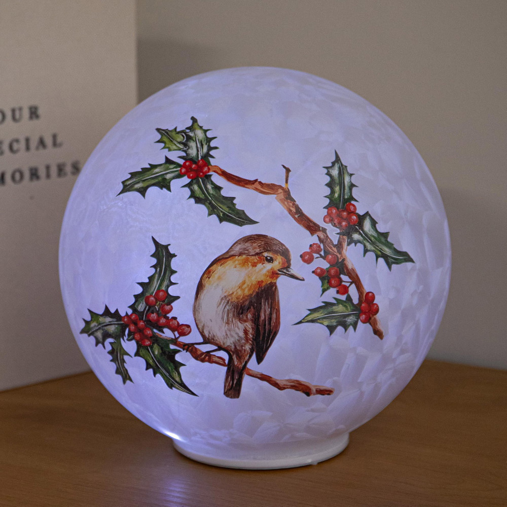Samuel Alexander 20 Cool White LED Robin Glass Ball Christmas Decoration 15cm Image 2