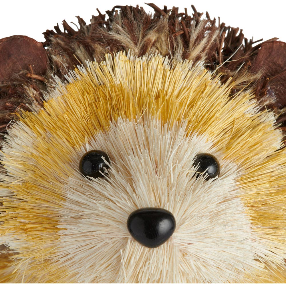 Wilko Winter Brissle Hedgehog Image 3