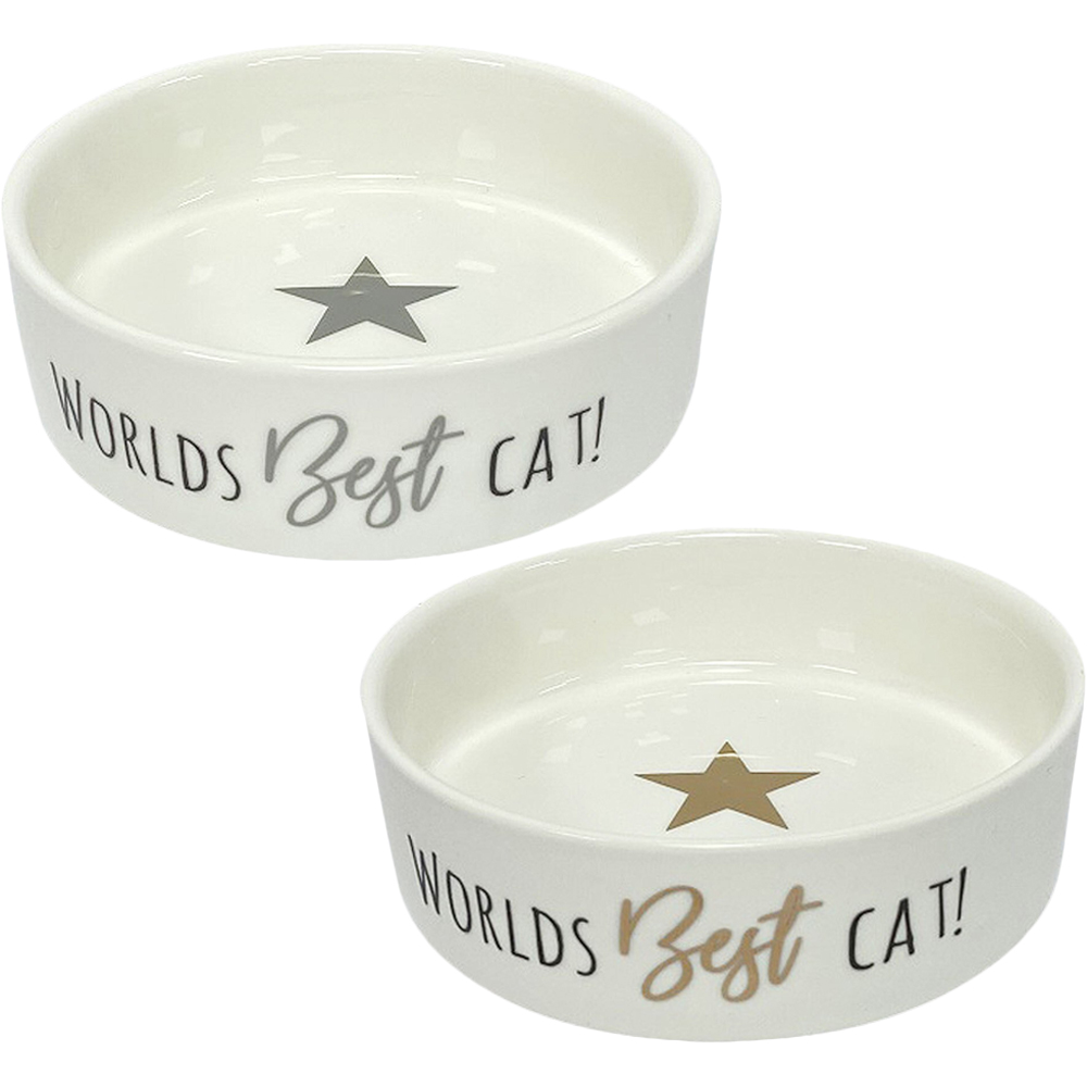 Single Clever Paws World's Best Cat Bowl in Assorted styles Image 1