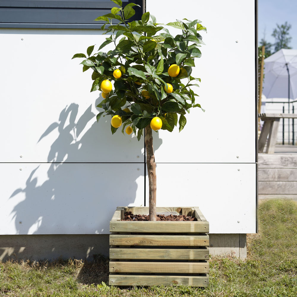 Cerland Kub Wooden Square Planter 40cm Image 2