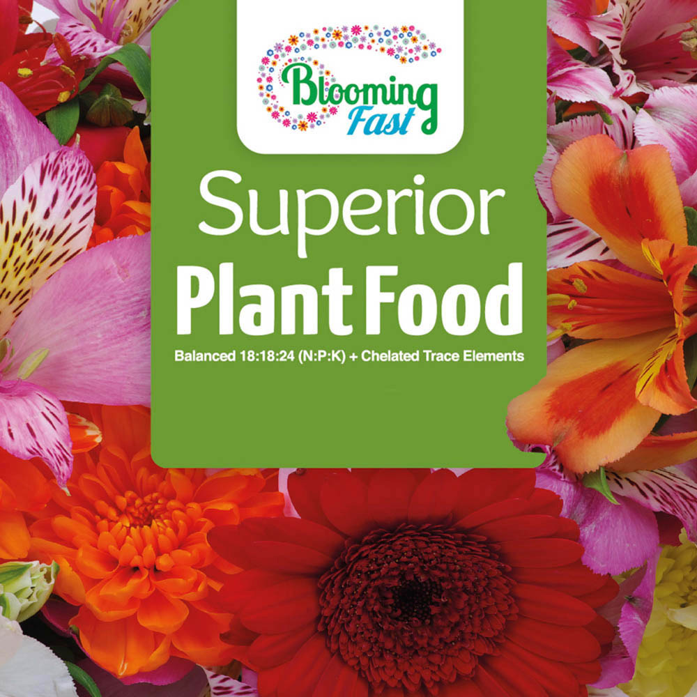 Blooming Fast Superior Plant Food 1.25Kg Image 2