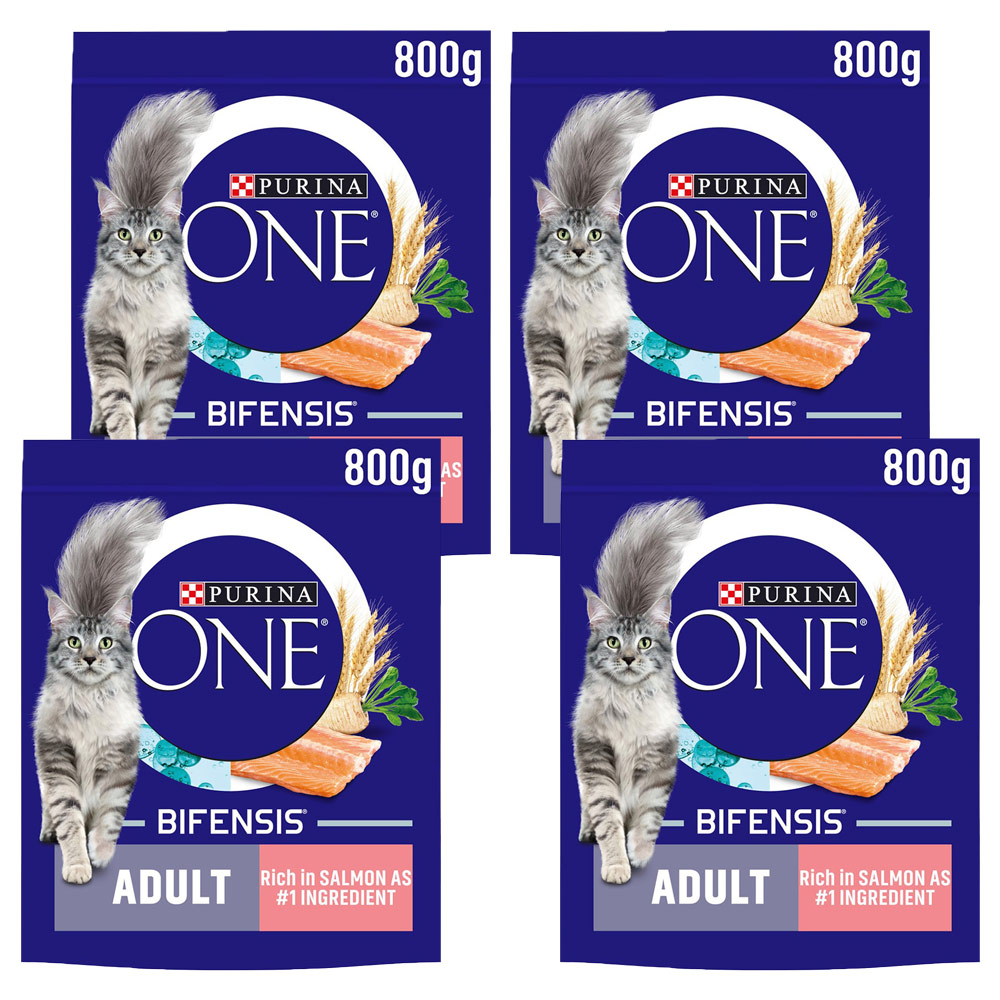 Purina ONE Rich in Salmon Adult Cat Dry Food Case of 4 x 800g Image 1