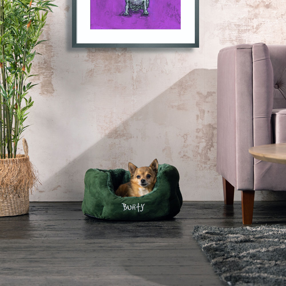 Bunty Polar Small Green Dog Bed Image 2