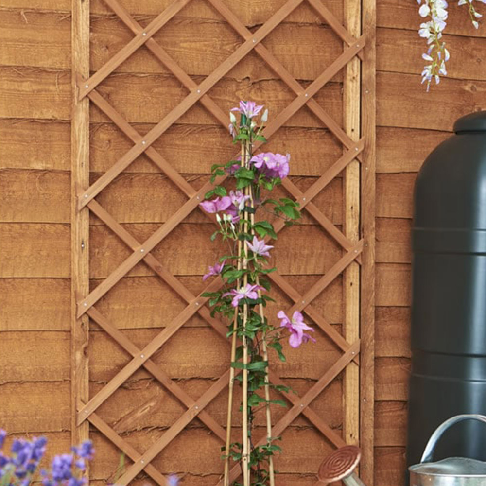 Wilko Expanding Wood Trellis 180 x 60cm Image 2