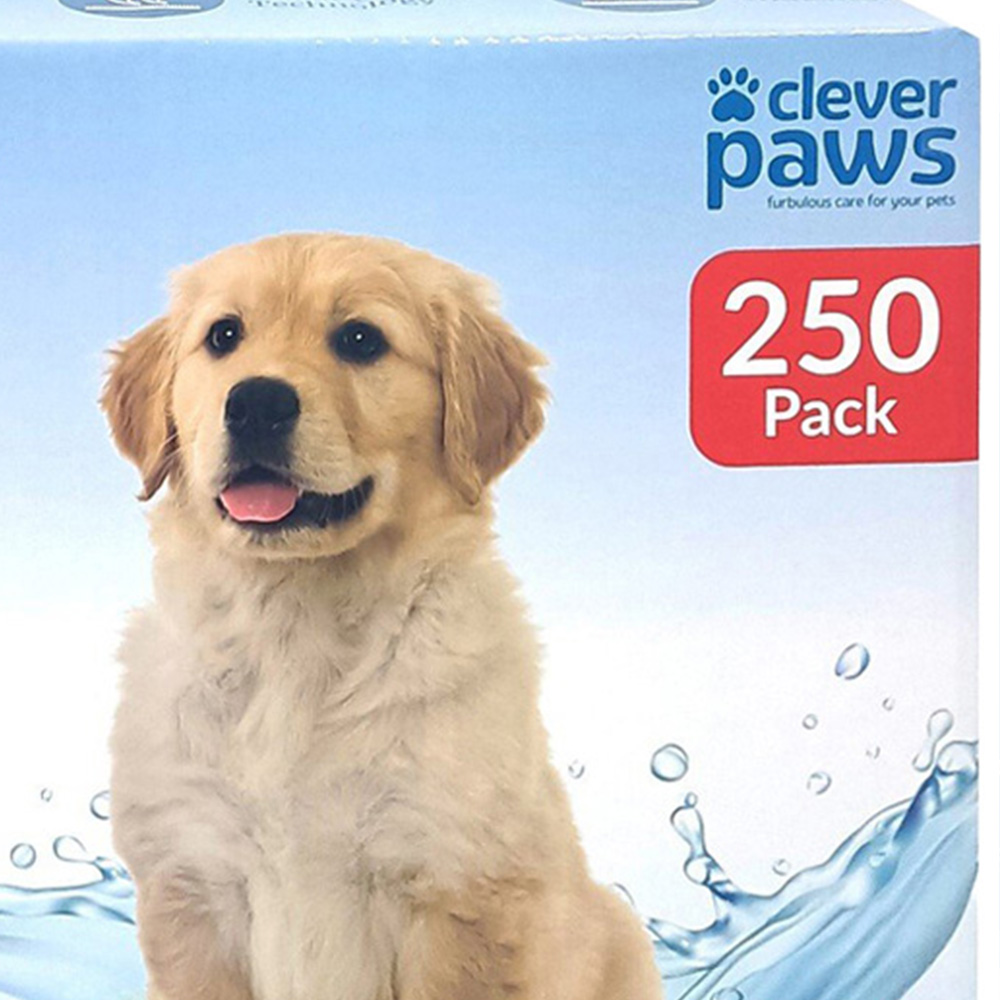 Clever Paws Training Pads 250 Pack Image 5