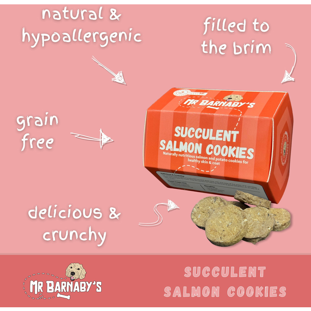 Mr Barnaby's Succulent Salmon Cookies Grain-Free Hypoallergenic Dog Treats 80g 2 Pack Image 3